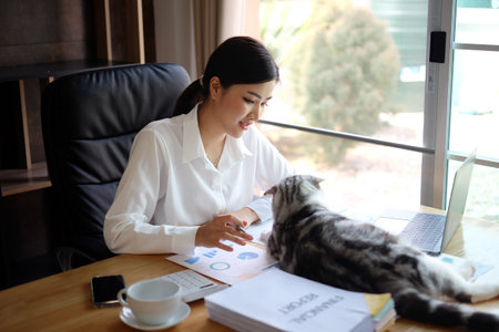 Beautiful asian businesswoman working with laptop computer in office.の写真素材