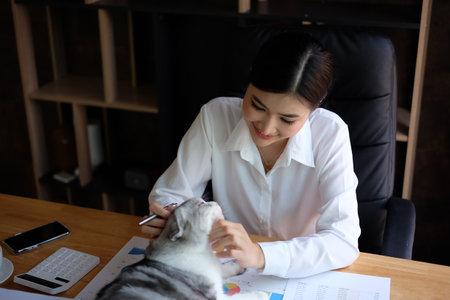 Beautiful asian businesswoman working with a cat in office.の写真素材