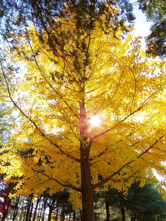 Hope and Hopelessの素材