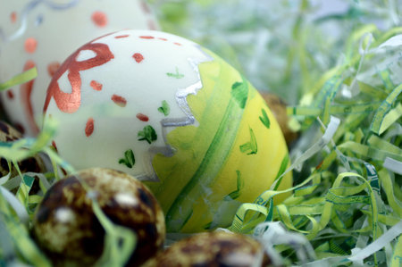 eggs 