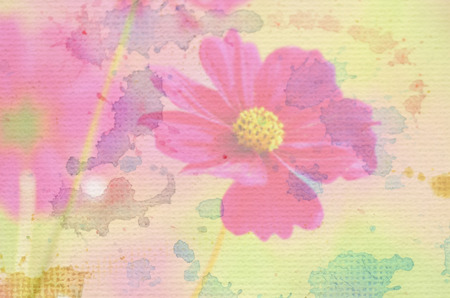 beautiful flowers made with color filtersの写真素材