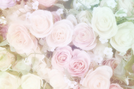 beautiful flowers made with color filtersの写真素材