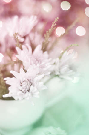 beautiful flowers made with color filtersの写真素材