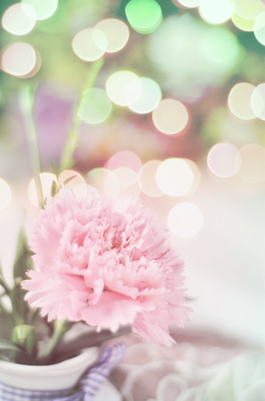 Pink flowers in a vaseの写真素材
