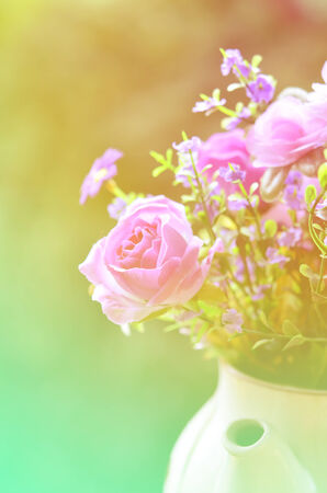 beautiful flowers made with color filtersの写真素材