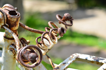detail of old Bicycle in garden