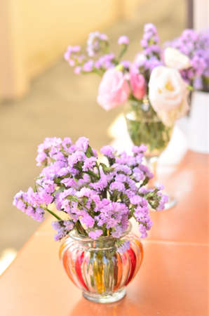 sweet flower in fresh morningの写真素材