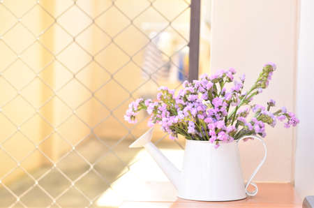 sweet flower in fresh morningの写真素材