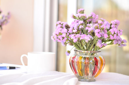 sweet flower in fresh morningの写真素材