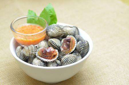 scallopの写真素材