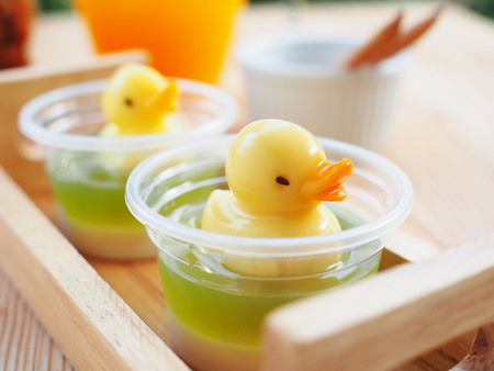 duck jelly in green jellyの写真素材