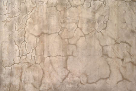 cement  wallの写真素材