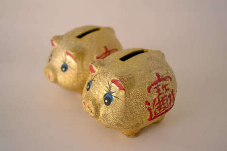 pig childの写真素材