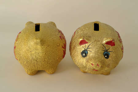 pig childの写真素材