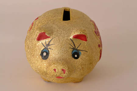 pig childの写真素材