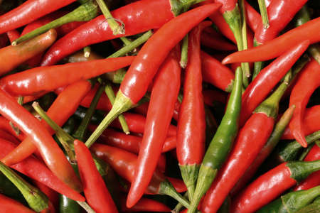 chiliの写真素材