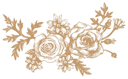Roses Hand-drawn illustrationsのイラスト素材
