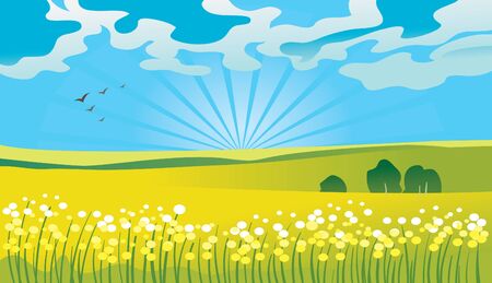 Summer landscape のイラスト素材