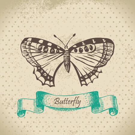 Butterfly. Hand drawn illustrationのイラスト素材