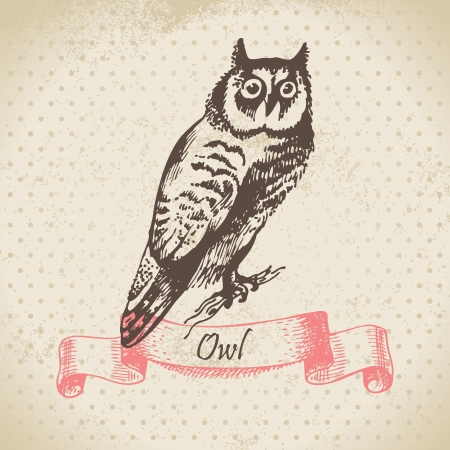 Owl bird, hand-drawn illustration のイラスト素材