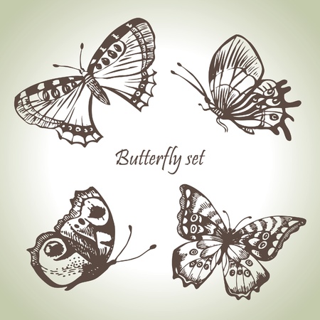 Set of butterfly. Hand drawn illustrationsのイラスト素材