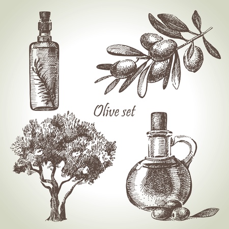 Hand drawn olive set のイラスト素材
