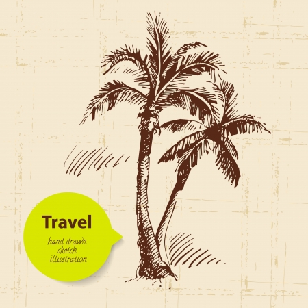 Vintage travel background with palms. Hand drawn illustration のイラスト素材
