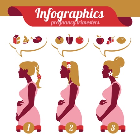 Infographics of pregnancy trimesters. Silhouettes of pregnant woman and foodstuffs のイラスト素材
