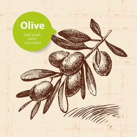Vintage olive background. Hand drawn illustrationのイラスト素材