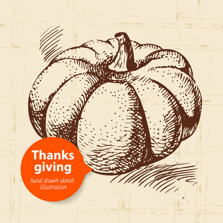 Hand drawn vintage Thanksgiving Day illustrationのイラスト素材