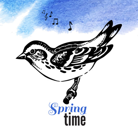 Vector illustration of hand drawn sketch bird. Spring time watercolor backgroundのイラスト素材