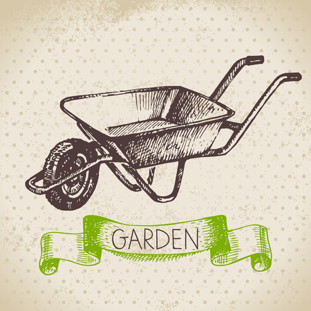 Vintage sketch gardening background. Hand drawn design 	のイラスト素材