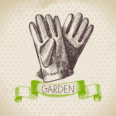 Vintage sketch gardening background. Hand drawn design のイラスト素材
