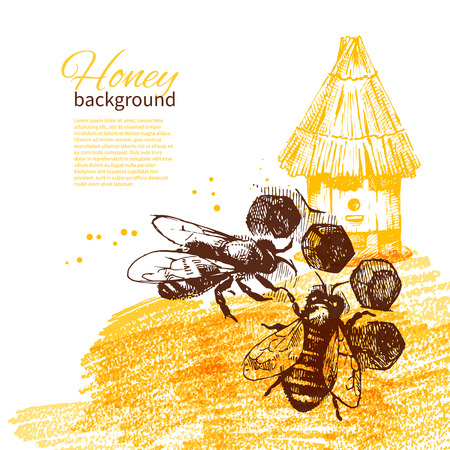 Honey background with hand drawn sketch illustrationのイラスト素材