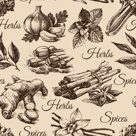 Seamless pattern of kitchen herbs and spices. Hand drawn sketch illustrationsのイラスト素材