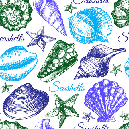 Seashell seamless pattern. Hand drawn sketch illustrationのイラスト素材