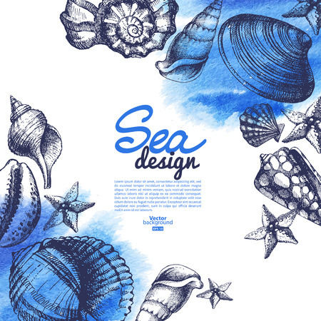 Seashell background. Sea nautical design. Hand drawn sketch and watercolor vector illustrationのイラスト素材