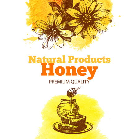 Honey background with hand drawn sketch and watercolor illustrations. Menu and package designのイラスト素材