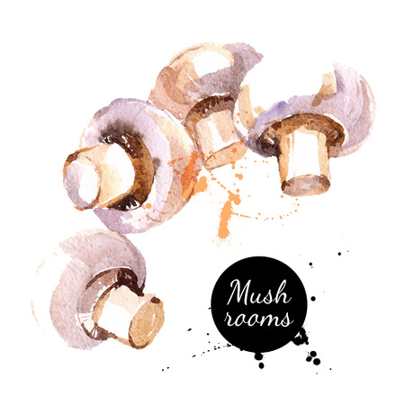 Mushrooms. Hand drawn watercolor painting on white background. Vector illustrationのイラスト素材