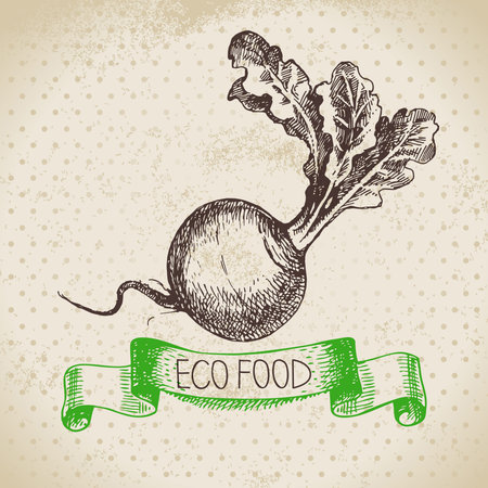 Hand drawn sketch turnip vegetable. Eco food background.Vector illustrationのイラスト素材