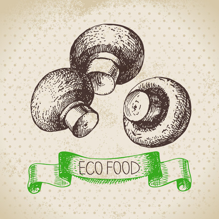 Hand drawn sketch mushrooms vegetable. Eco food background.Vector illustrationのイラスト素材
