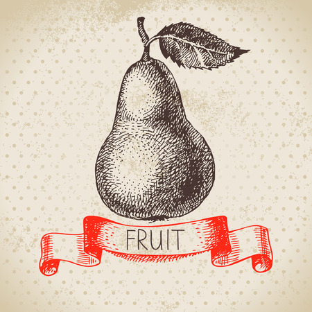 Hand drawn sketch fruit pear. Eco food background. Vector illustrationのイラスト素材