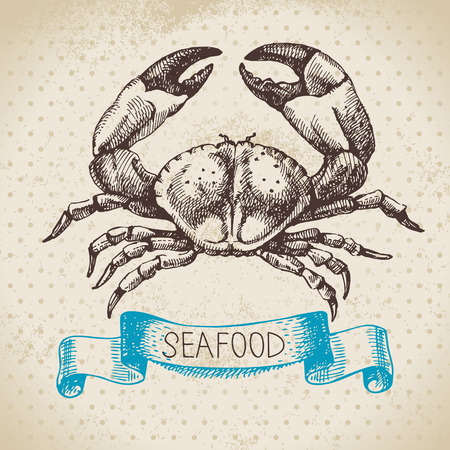 Vintage sea background. Hand drawn sketch seafood vector illustration of crabのイラスト素材