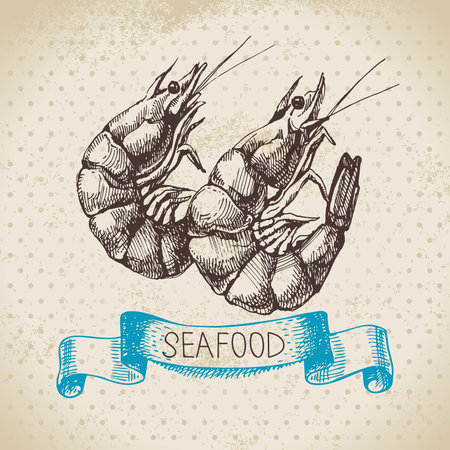 Vintage sea background. Hand drawn sketch seafood vector illustration of shrimpsのイラスト素材