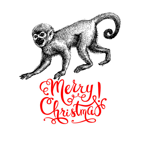 Hand drawn monkey animal vector illustration. Merry Christmas and Happy New Year card. Sketch isolated marmoset on white backgroundのイラスト素材