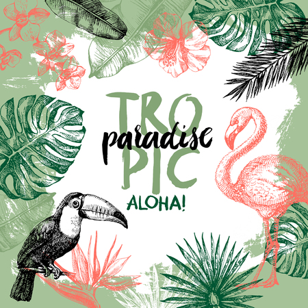 Hand drawn sketch tropical paradise plants and birds background. Vector illustrationのイラスト素材