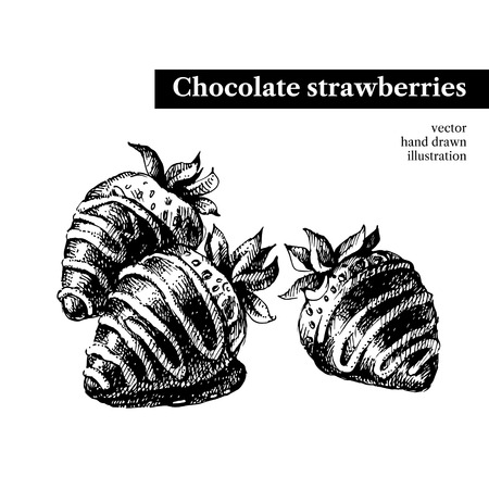 Hand drawn sketch chocolate strawberries dessert bar. Vector black and white vintage illustration. Isolated object Menu designのイラスト素材