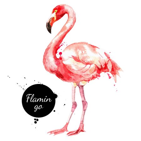 Hand drawn sketch watercolor tropical bird flamingo. Vector painted isolated exotic nature illustrationのイラスト素材