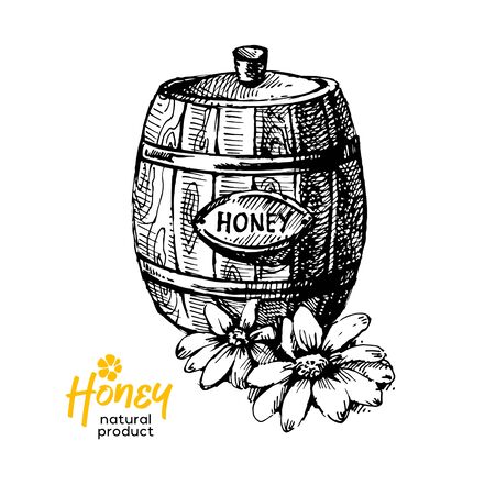 Hand drawn sketch honey background. Vintage vector illustration of natural healthy foodのイラスト素材