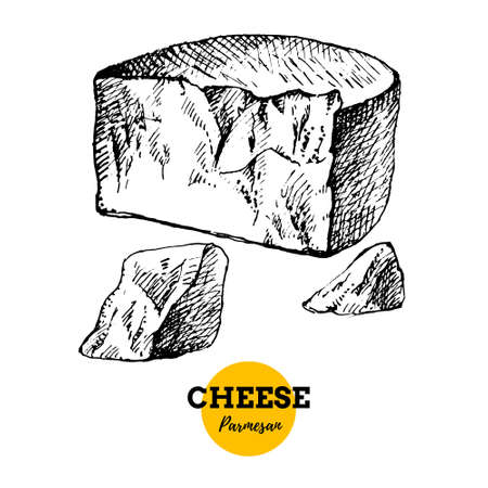 Hand drawn sketch cheese parmesan background. Vector illustration of natural milk foodsのイラスト素材